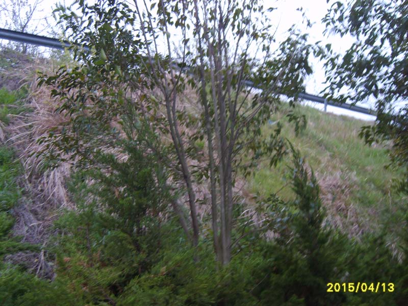 S8006733.JPG