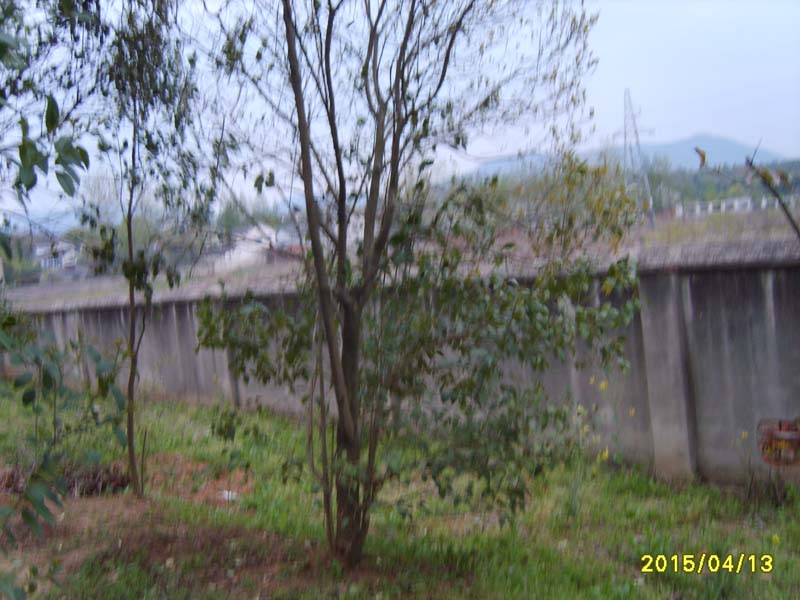 S8006738.JPG