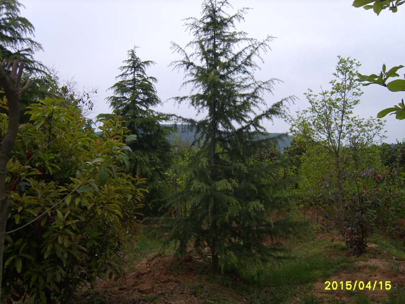 S8006761.JPG