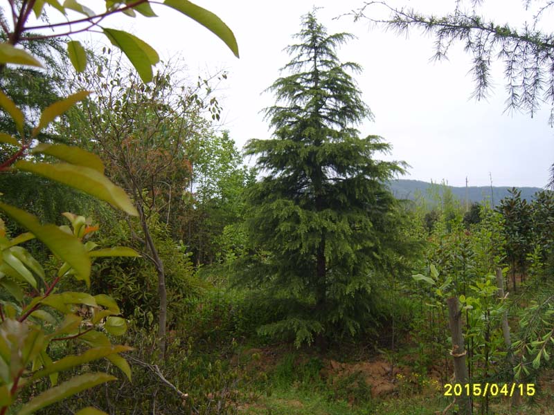 S8006763.JPG