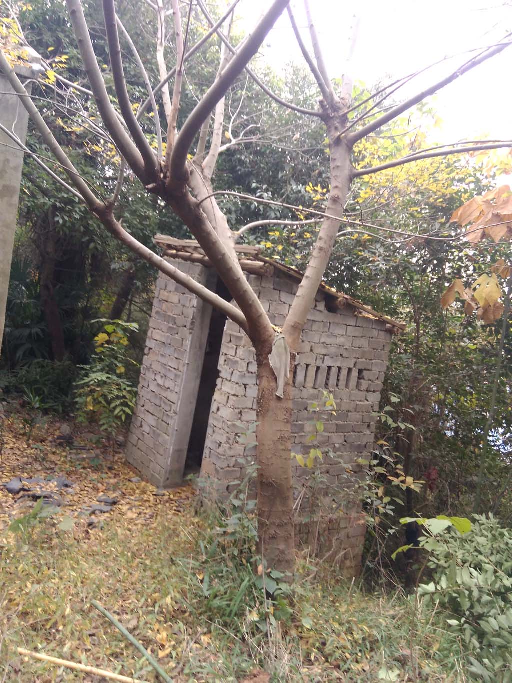 IMG_20171116_090534.jpg