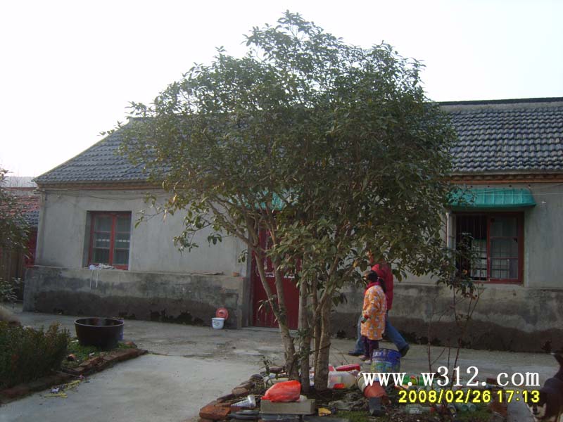 05Ź