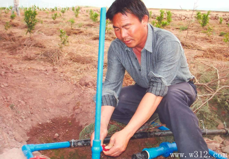 大田安装重力滴灌系统