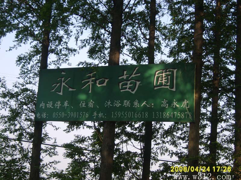 永和苗圃